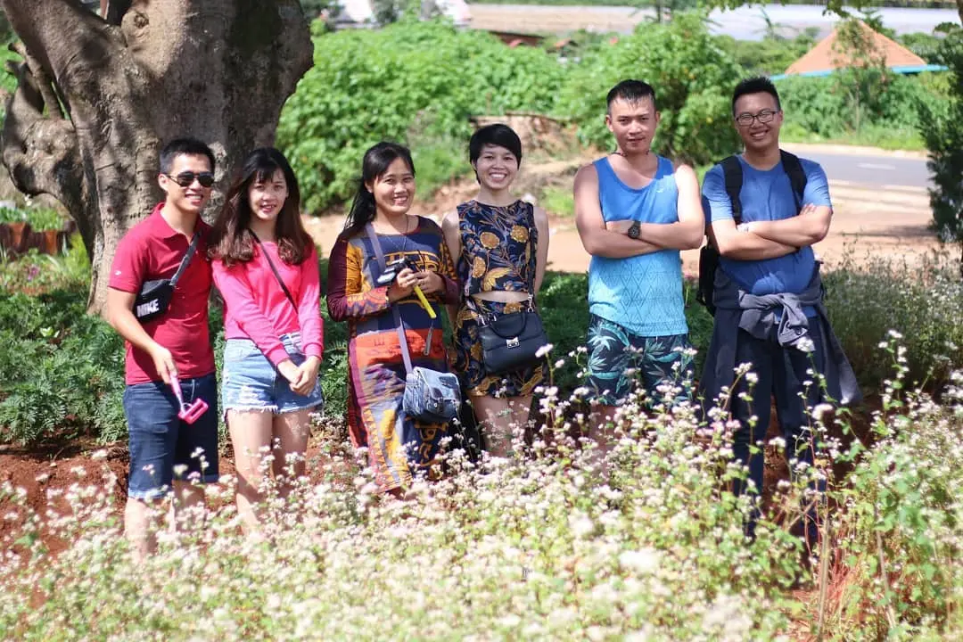 Trọn bộ kinh nghiệm kh&aacute;m ph&aacute; m&ugrave;a hoa tam gi&aacute;c mạch Đ&agrave; Lạt 6