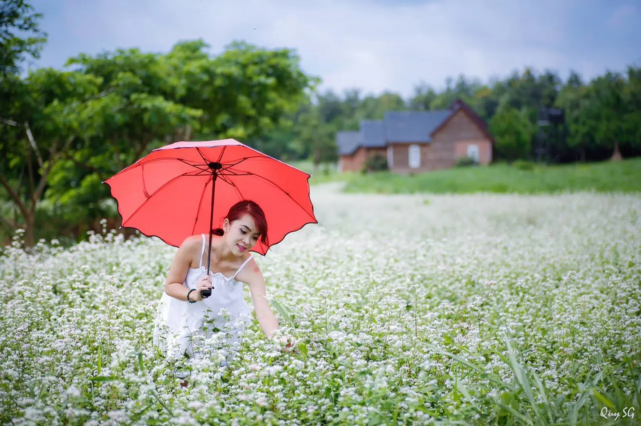Trọn bộ kinh nghiệm kh&aacute;m ph&aacute; m&ugrave;a hoa tam gi&aacute;c mạch Đ&agrave; Lạt 4
