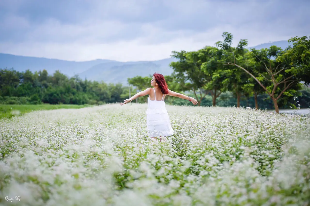 Trọn bộ kinh nghiệm kh&aacute;m ph&aacute; m&ugrave;a hoa tam gi&aacute;c mạch Đ&agrave; Lạt 3