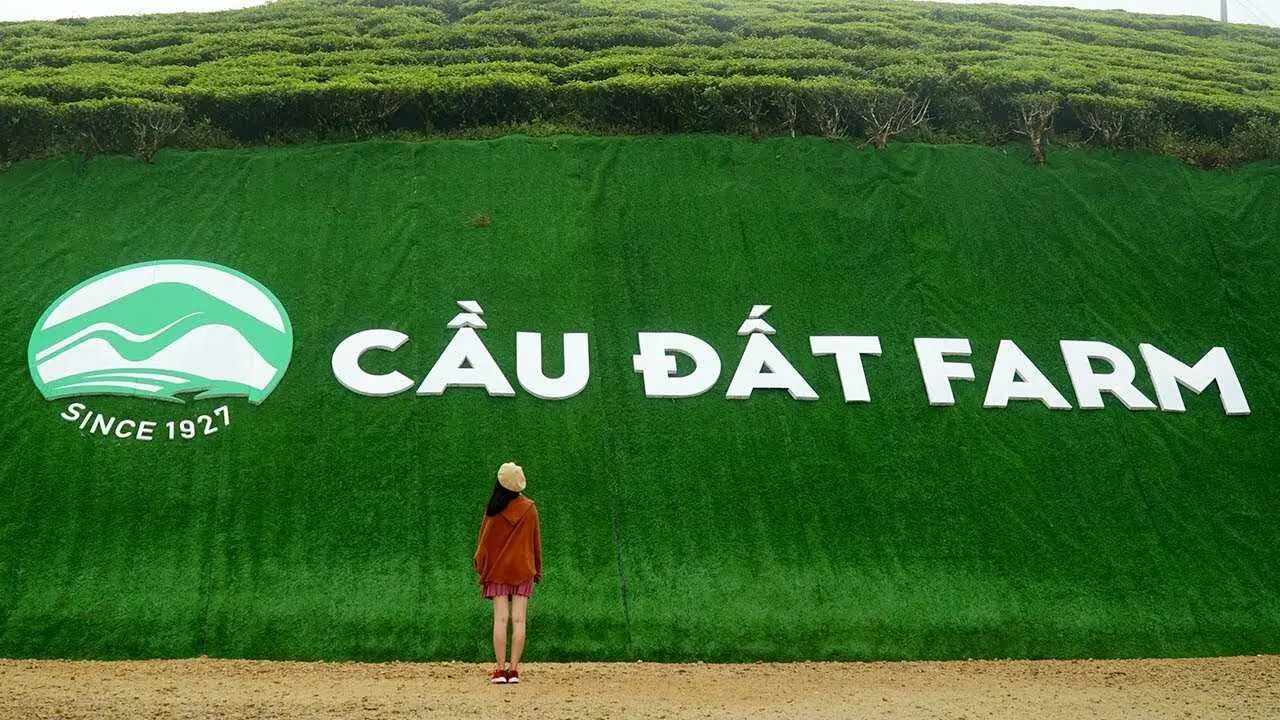 Truy l&ugrave;ng nh&agrave; m&aacute;y tr&agrave; cổ Cầu Đất Farm gần 100 năm tuổi độc đ&aacute;o tại Đ&agrave; Lạt 3