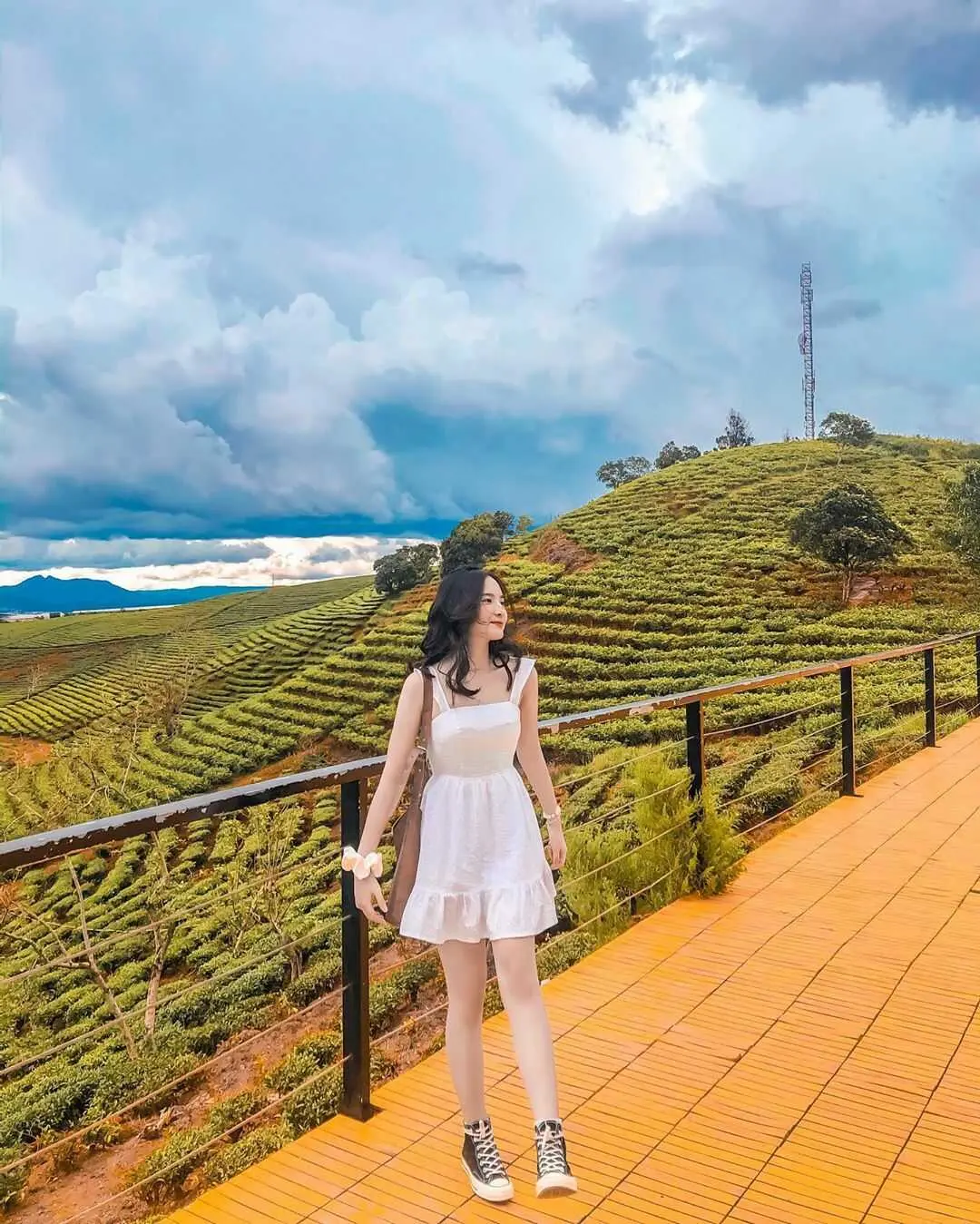 Truy l&ugrave;ng nh&agrave; m&aacute;y tr&agrave; cổ Cầu Đất Farm gần 100 năm tuổi độc đ&aacute;o tại Đ&agrave; Lạt 15