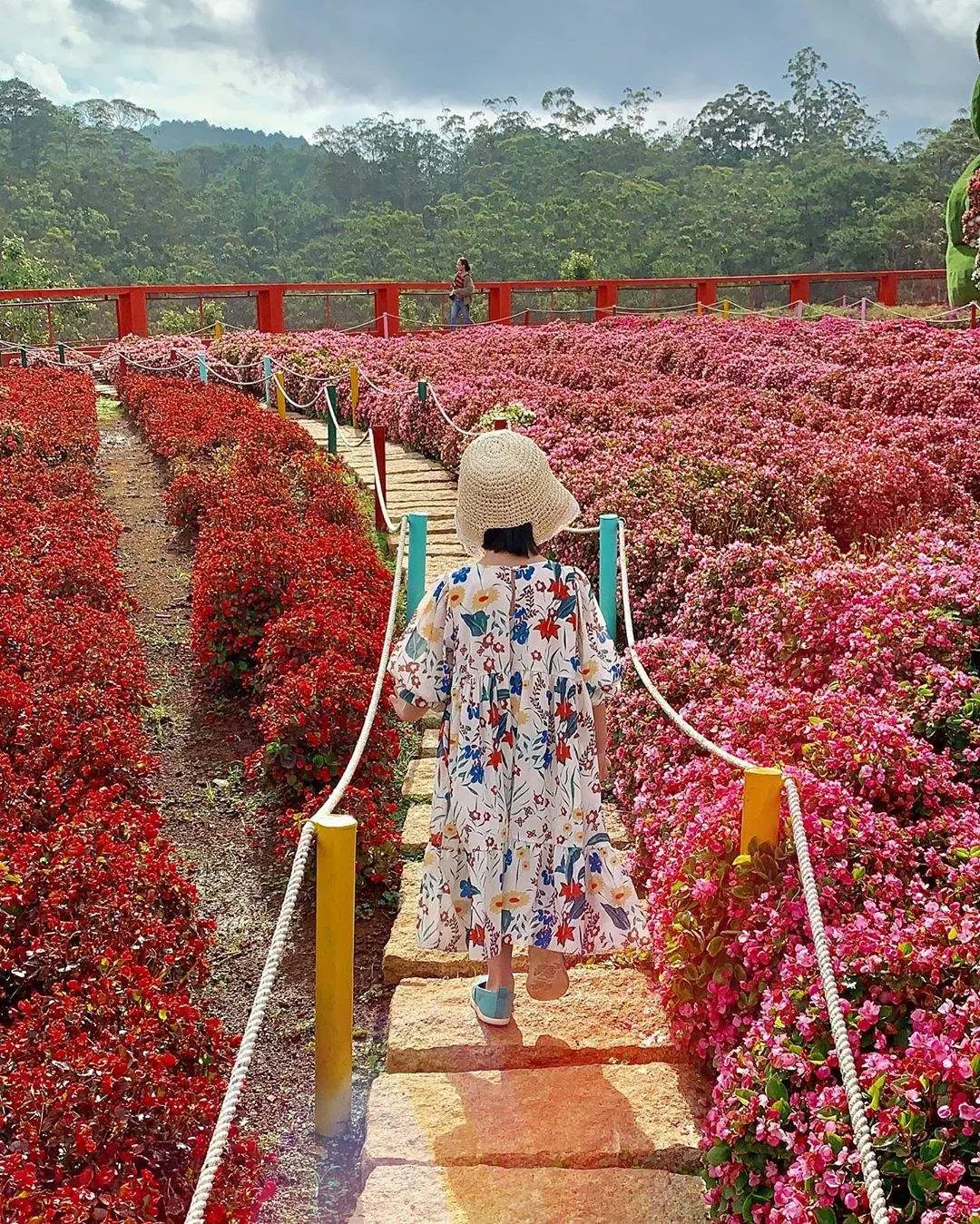 Vườn hoa Đ&agrave; Lạt &ndash; Toạ độ check-in tựa n&agrave;ng thơ giữa trời Đ&agrave; Lạt mơ mộng 12