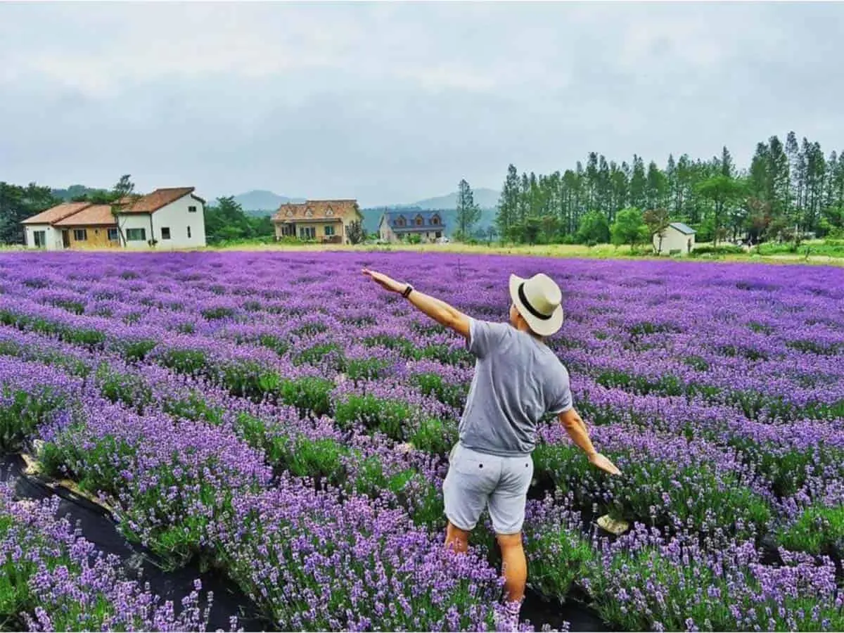 Vườn hoa Đ&agrave; Lạt &ndash; Toạ độ check-in tựa n&agrave;ng thơ giữa trời Đ&agrave; Lạt mơ mộng 10