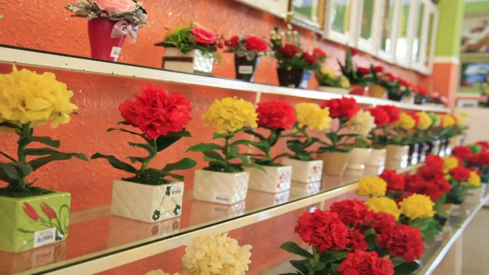 Vườn hoa kh&ocirc; Đ&agrave; Lạt - Lạc m&igrave;nh trong những lo&agrave;i hoa bất tử ở Đ&agrave; Lạt 5