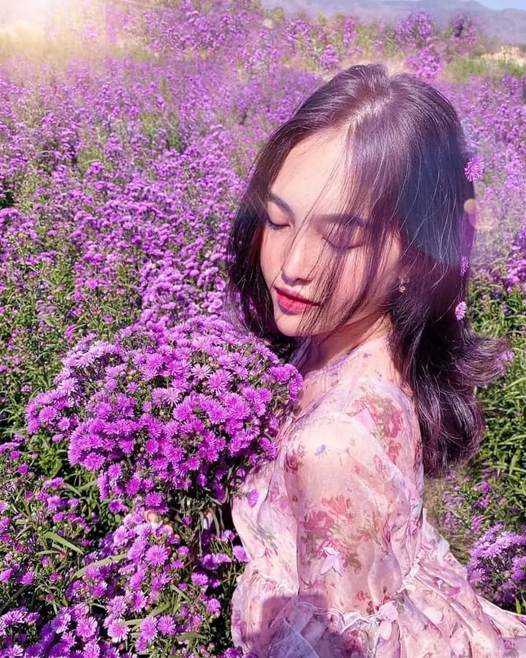 Vườn hoa thạch thảo Đ&agrave; Lạt - Điểm sống ảo si&ecirc;u hot tại Đ&agrave; Lạt 7