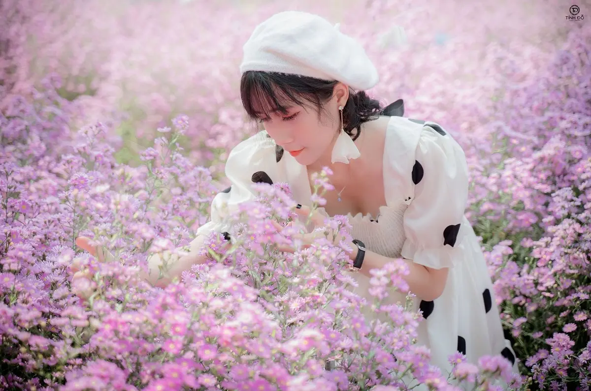Vườn hoa thạch thảo Đ&agrave; Lạt - Điểm sống ảo si&ecirc;u hot tại Đ&agrave; Lạt 3