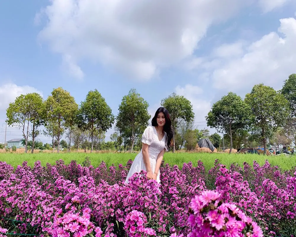 Vườn hoa thạch thảo Đ&agrave; Lạt - Điểm sống ảo si&ecirc;u hot tại Đ&agrave; Lạt 5