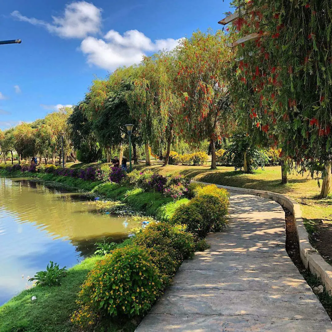 Vườn hoa Th&agrave;nh Phố Đ&agrave; Lạt - Check-in xứ sở ng&agrave;n hoa tuyệt đẹp giữa l&ograve;ng Đ&agrave; Lạt 8