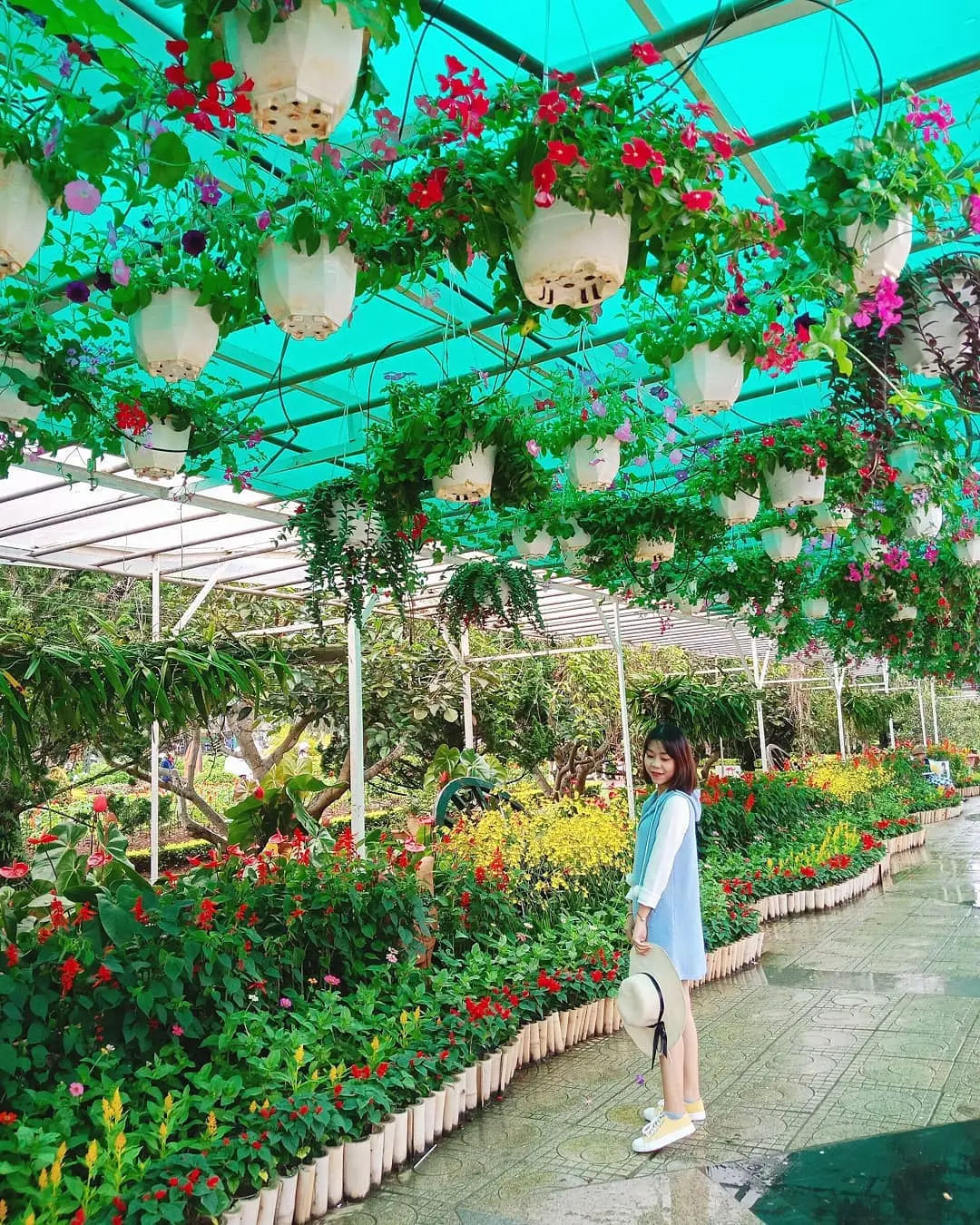 Vườn hoa Th&agrave;nh Phố Đ&agrave; Lạt - Check-in xứ sở ng&agrave;n hoa tuyệt đẹp giữa l&ograve;ng Đ&agrave; Lạt 12