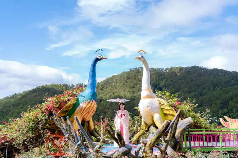 Vườn thượng uyển bay Đà Lạt, không gian tiên cảnh đẹp nao lòng người 6
