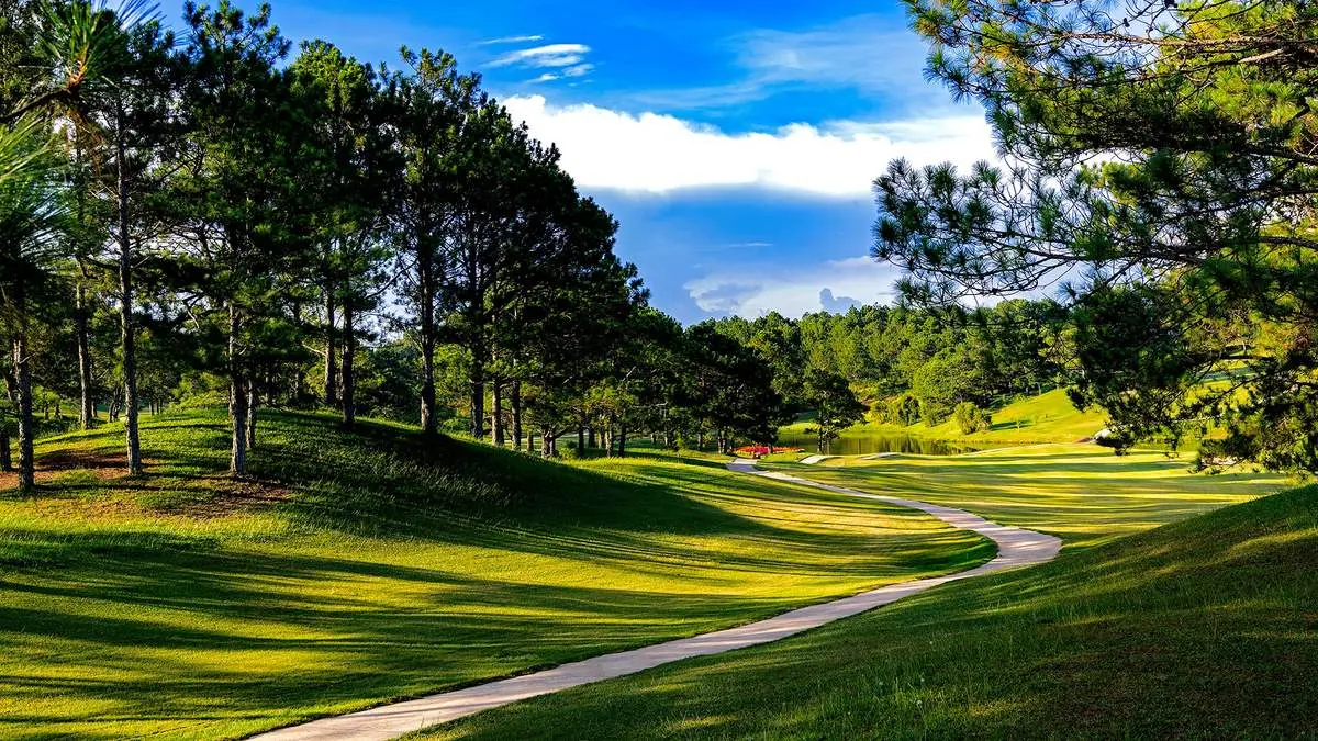 Đồi Cù Đà Lạt - Nơi sống ảo triệu view với không gian thơ mộng