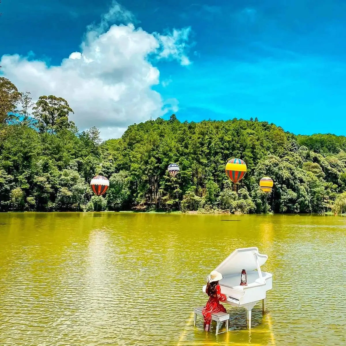 Lạc Tiên Giới (Khu rừng khinh khí cầu Đà Lạt) - Đi tìm không gian cổ tích đẹp tựa trong phim