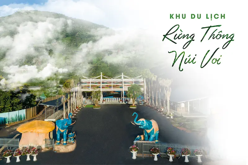 Rừng Thông Núi Voi: Du lịch Hàn Nhật Trung Việt Ngay Tại Đà Lạt