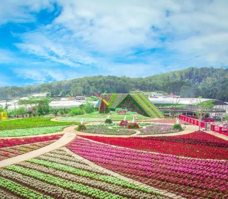 Top 9 vườn hoa Đà Lạt với vẻ đẹp thơ mộng bạn không nên bỏ lỡ