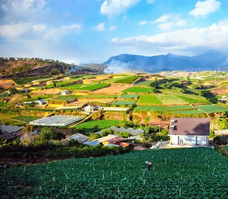 Trại Mát Đà Lạt: Viên ngọc bình yên giữa lòng thành phố ngàn hoa