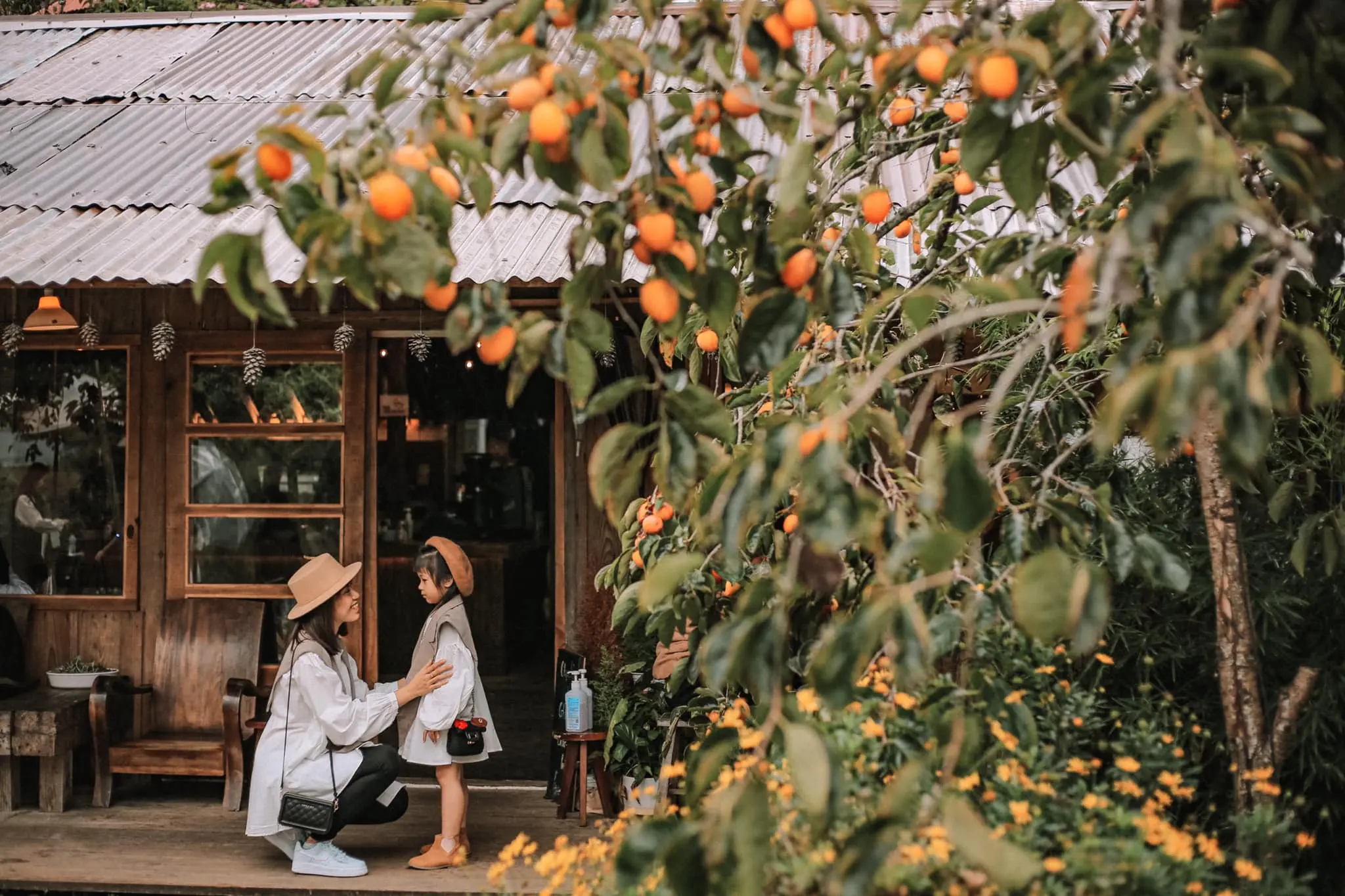 Truy tìm những vườn hồng Đà Lạt đẹp phát hờn này