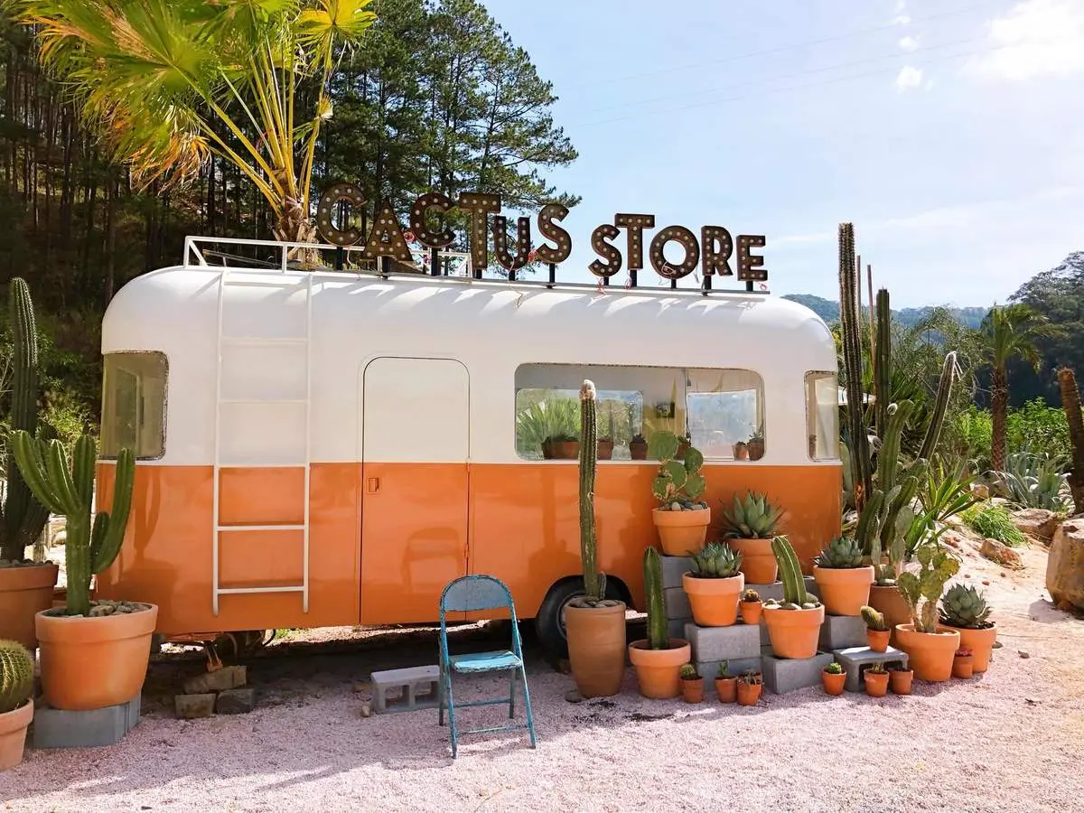 Vương quốc xương rồng Kombi Land độc lạ giữa Đà Lạt