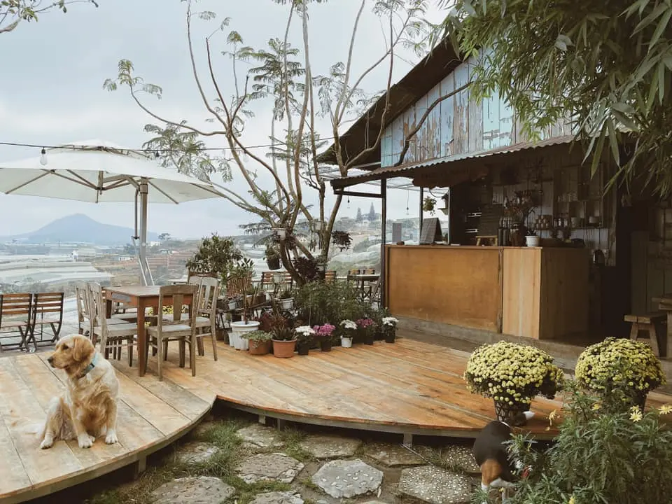 Xao xuyến trước view săn mây Đà Lạt cực đỉnh của top 6 quán coffee xinh xắn, độc đáo