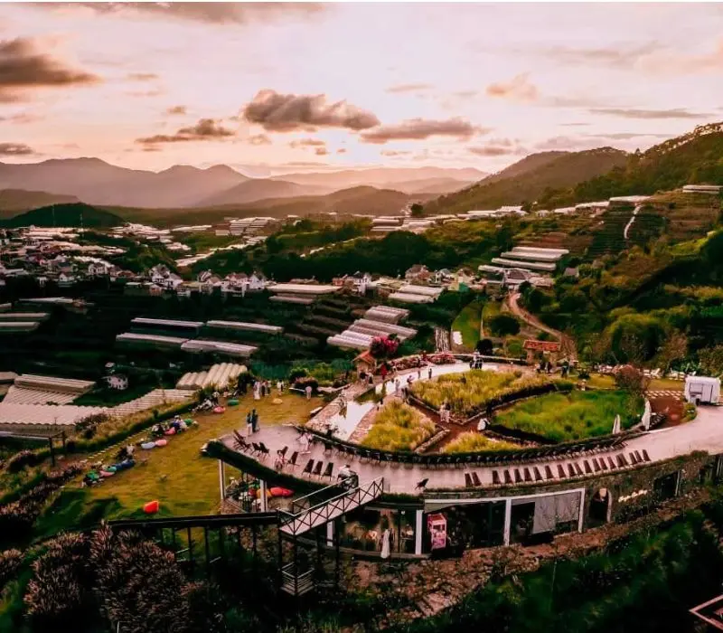 Chuyện của Nắng: Không gian cafe yên bình giữa lòng Đà Lạt