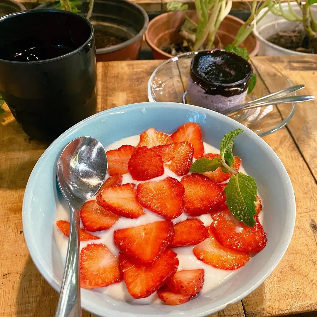 An Coffee &ndash; Chốn b&igrave;nh y&ecirc;n xanh thẳm cho những t&acirc;m hồn mỏng manh 33