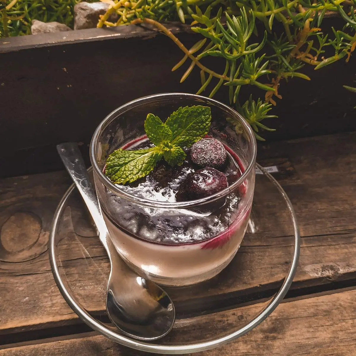 An Coffee &ndash; Chốn b&igrave;nh y&ecirc;n xanh thẳm cho những t&acirc;m hồn mỏng manh 46