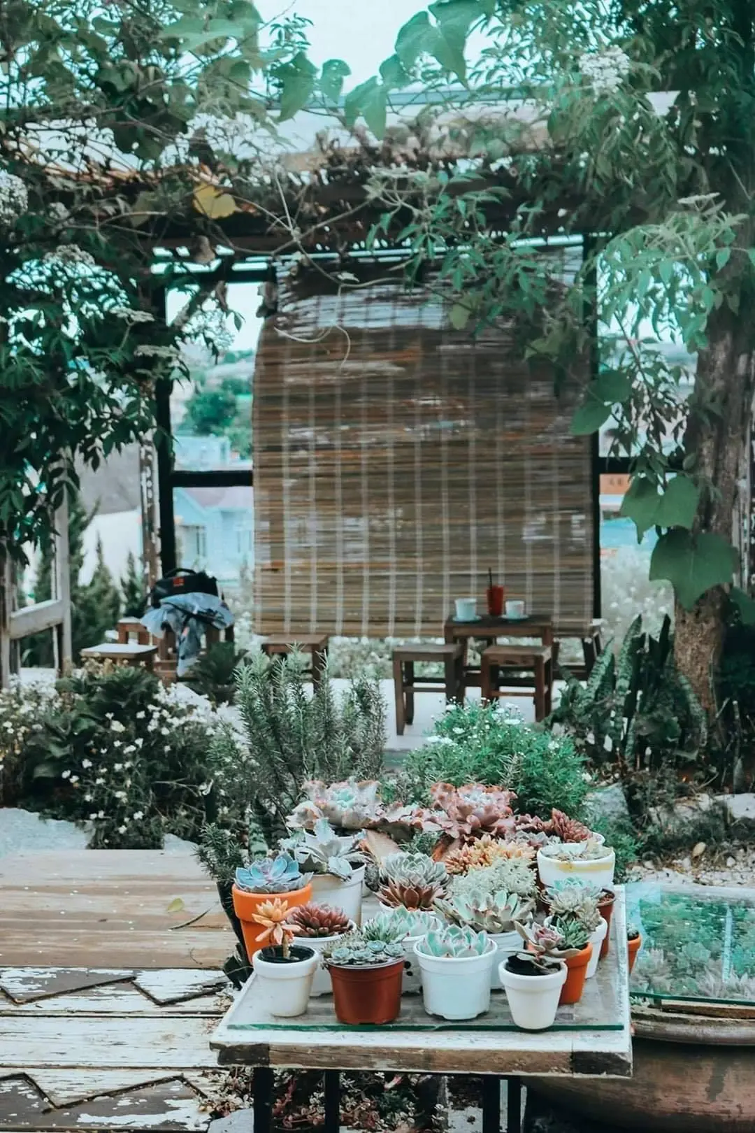 C&agrave; ph&ecirc; Vườn Y&ecirc;n Đ&agrave; Lạt &ndash; Check-in ng&ocirc;i nh&agrave; gỗ Nhật Bản thơ mộng tr&ecirc;n đồi 9