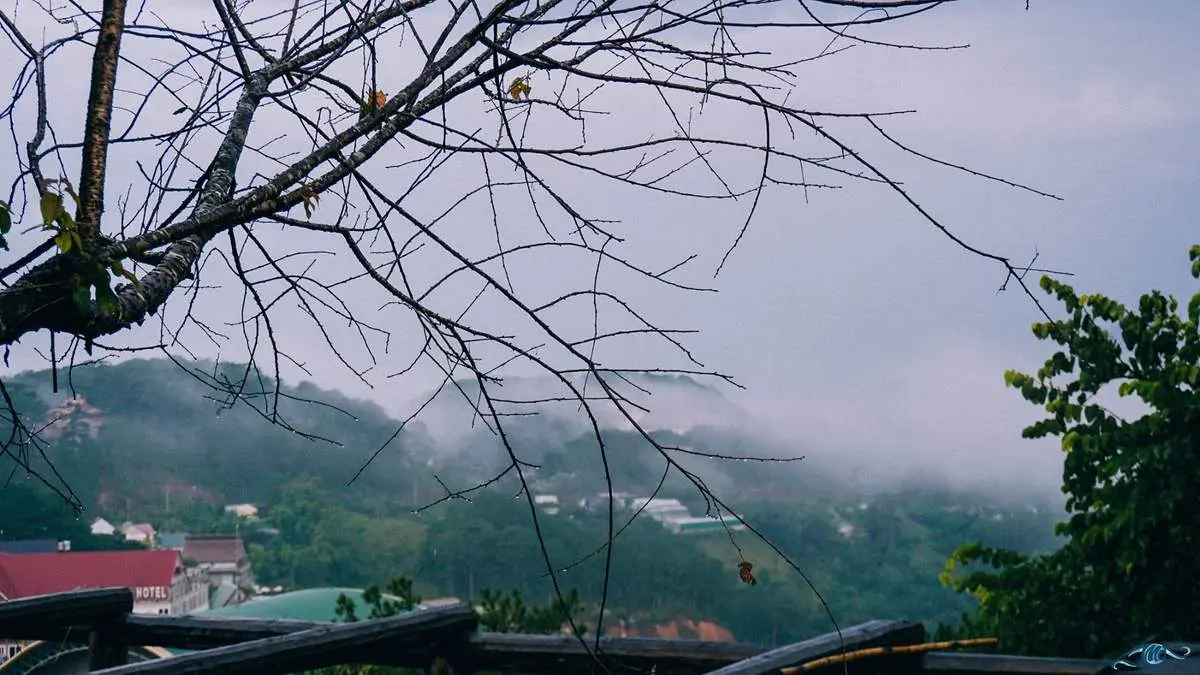Cổng trời Đ&agrave; Lạt - Di Linh View - Qu&aacute;n c&agrave; ph&ecirc; thơ mộng tựa sợi d&acirc;y nối liền trời đất 4