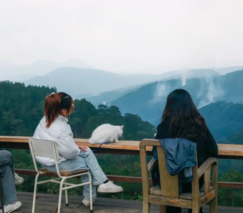 Hidden Land Đ&agrave; Lạt: Thi&ecirc;n đường ẩn m&igrave;nh giữa n&uacute;i rừng c&oacute; g&igrave;? 4