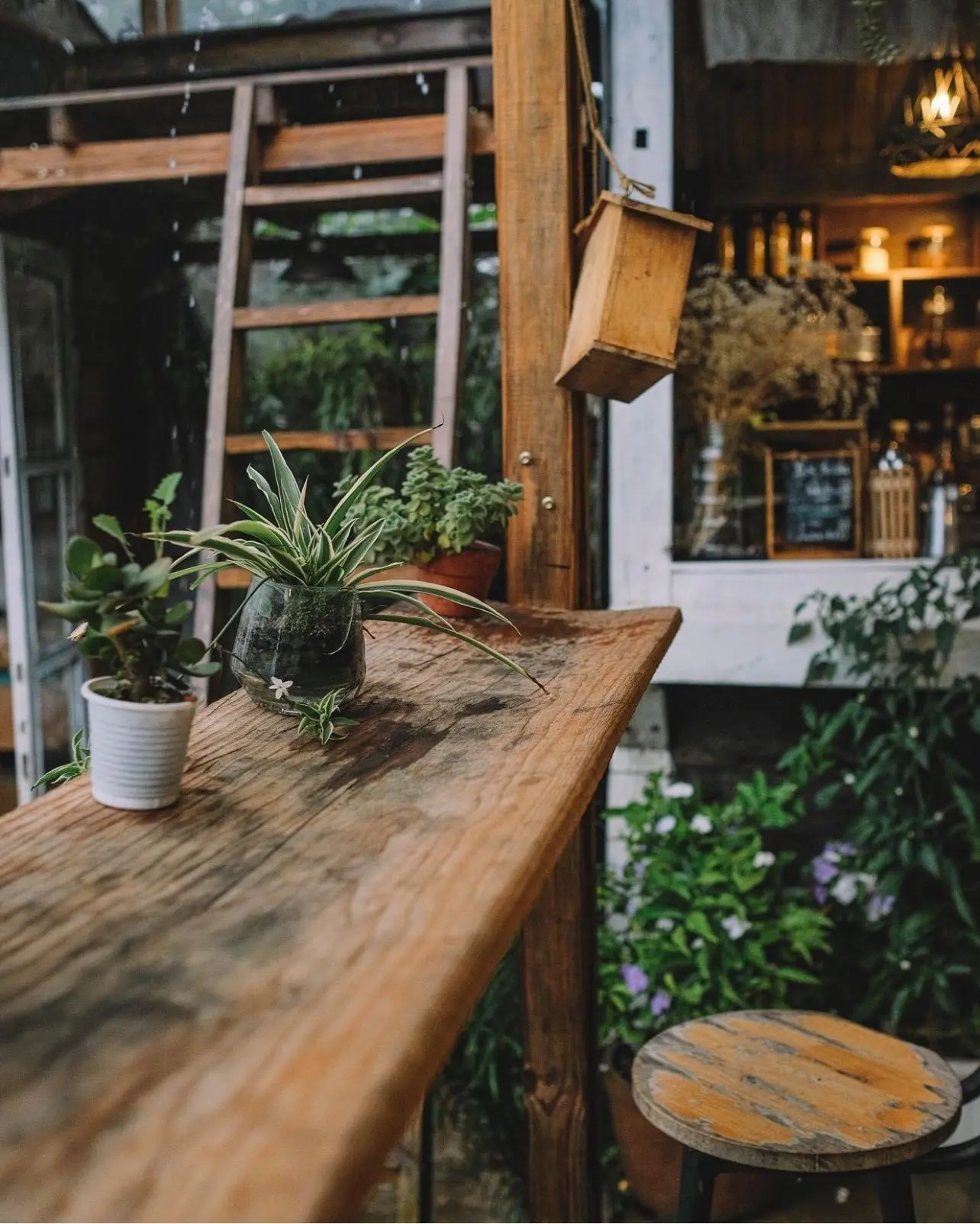 Him Cafe - Ngẩn ngơ trước g&oacute;c nhỏ an y&ecirc;n tại Đ&agrave; Lạt mộng mơ 4