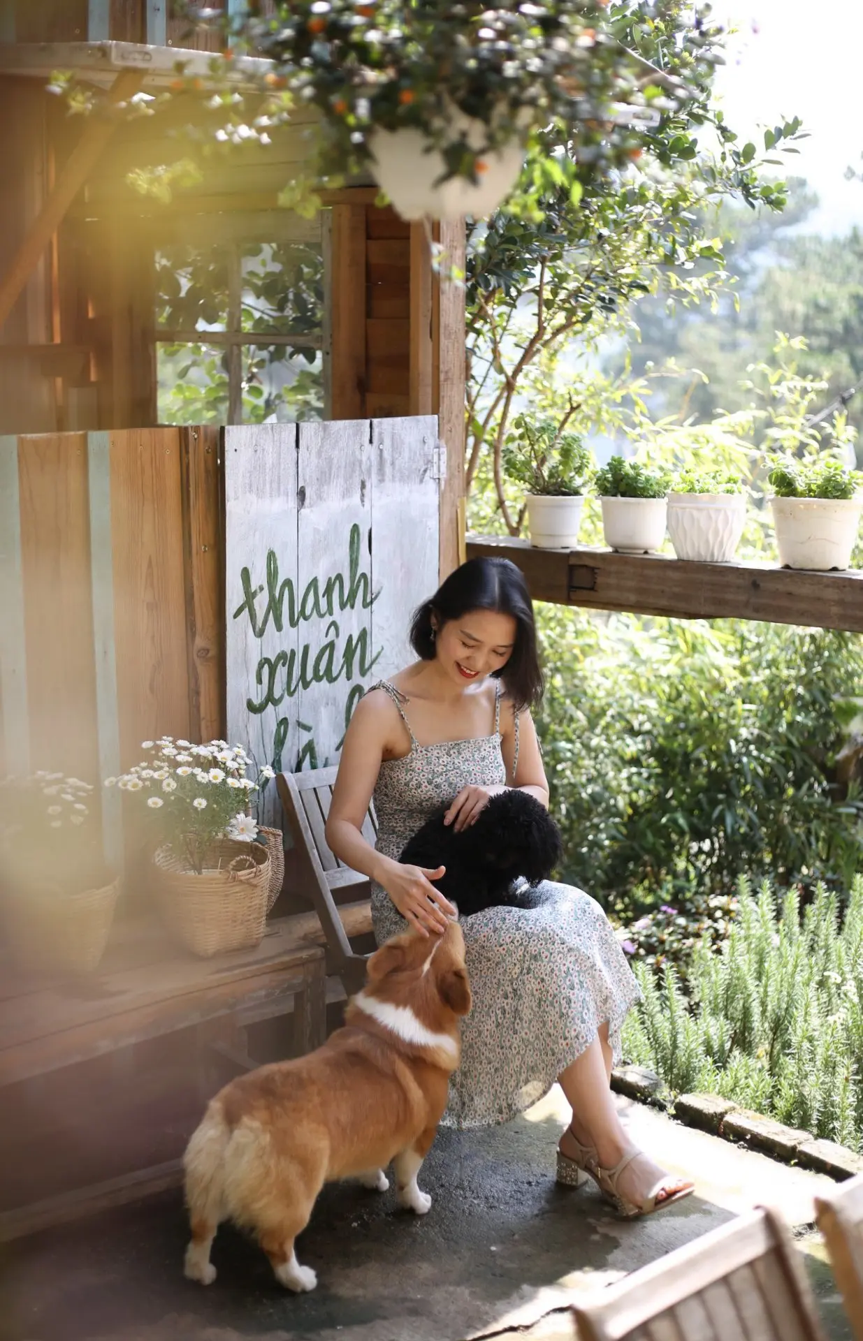 Him Cafe - Ngẩn ngơ trước g&oacute;c nhỏ an y&ecirc;n tại Đ&agrave; Lạt mộng mơ 8