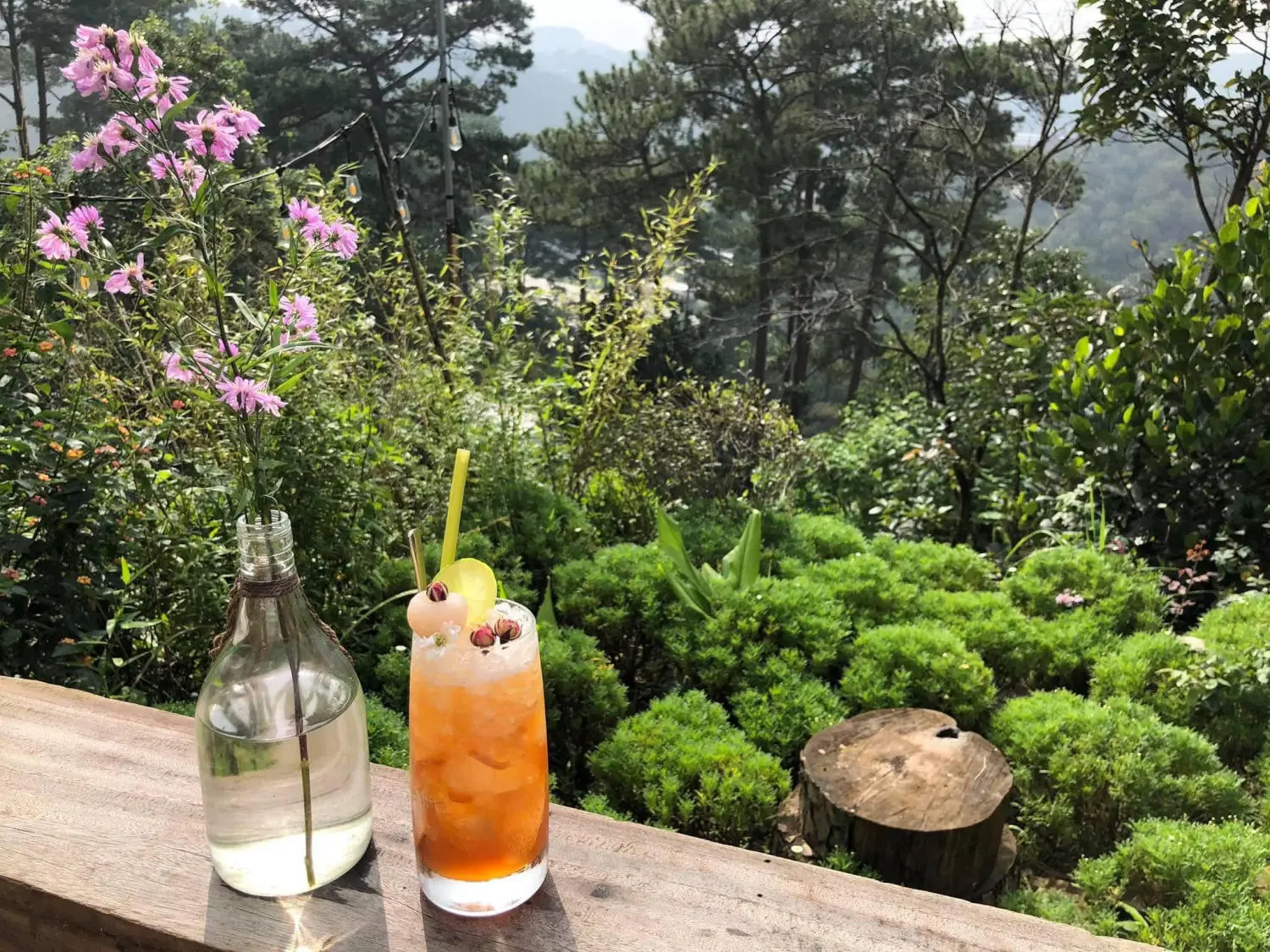 Him Cafe - Ngẩn ngơ trước g&oacute;c nhỏ an y&ecirc;n tại Đ&agrave; Lạt mộng mơ 6