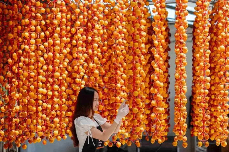 Hồng treo gió Đà Lạt: Thức quà đặc sản đầy hoài niệm về xứ mộng mơ 3
