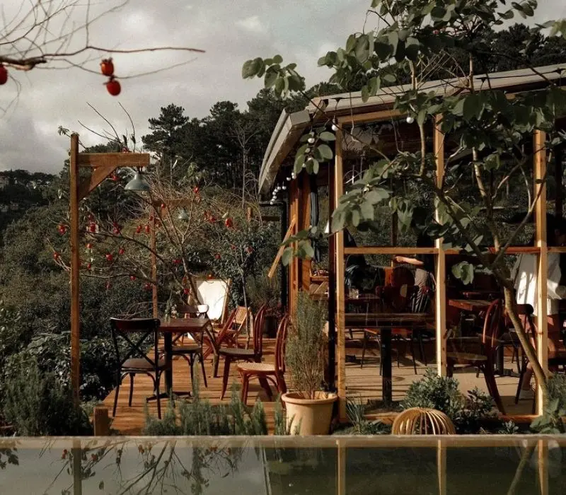 In The Forest Đ&agrave; Lạt: Qu&aacute;n cafe giữa rừng th&ocirc;ng độc đ&aacute;o 4