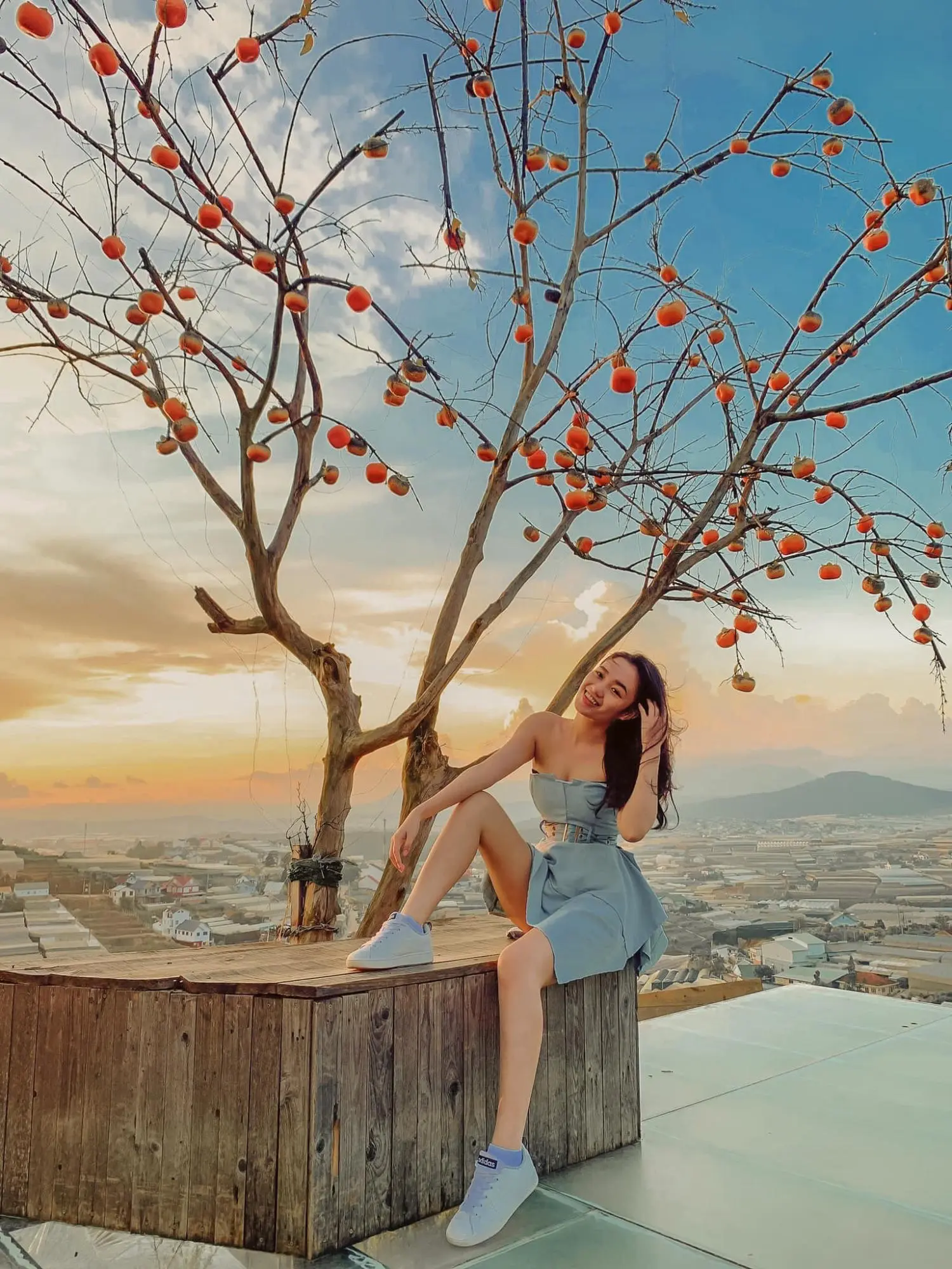 L&agrave;ng Vũ Thị - Săn l&ugrave;ng qu&aacute;n c&agrave; ph&ecirc; với view ngắm Đ&agrave; Lạt cực lung linh 6