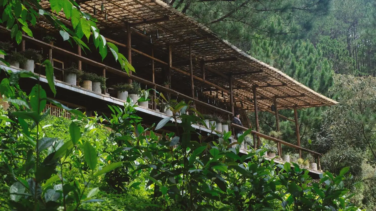 Lavenderdalat Coffee House - Qu&aacute;n c&agrave; ph&ecirc; c&oacute; view Hồ Tuyền L&acirc;m quyến rũ khiến ai cũng say l&ograve;ng tại Đ&agrave; Lạt 2