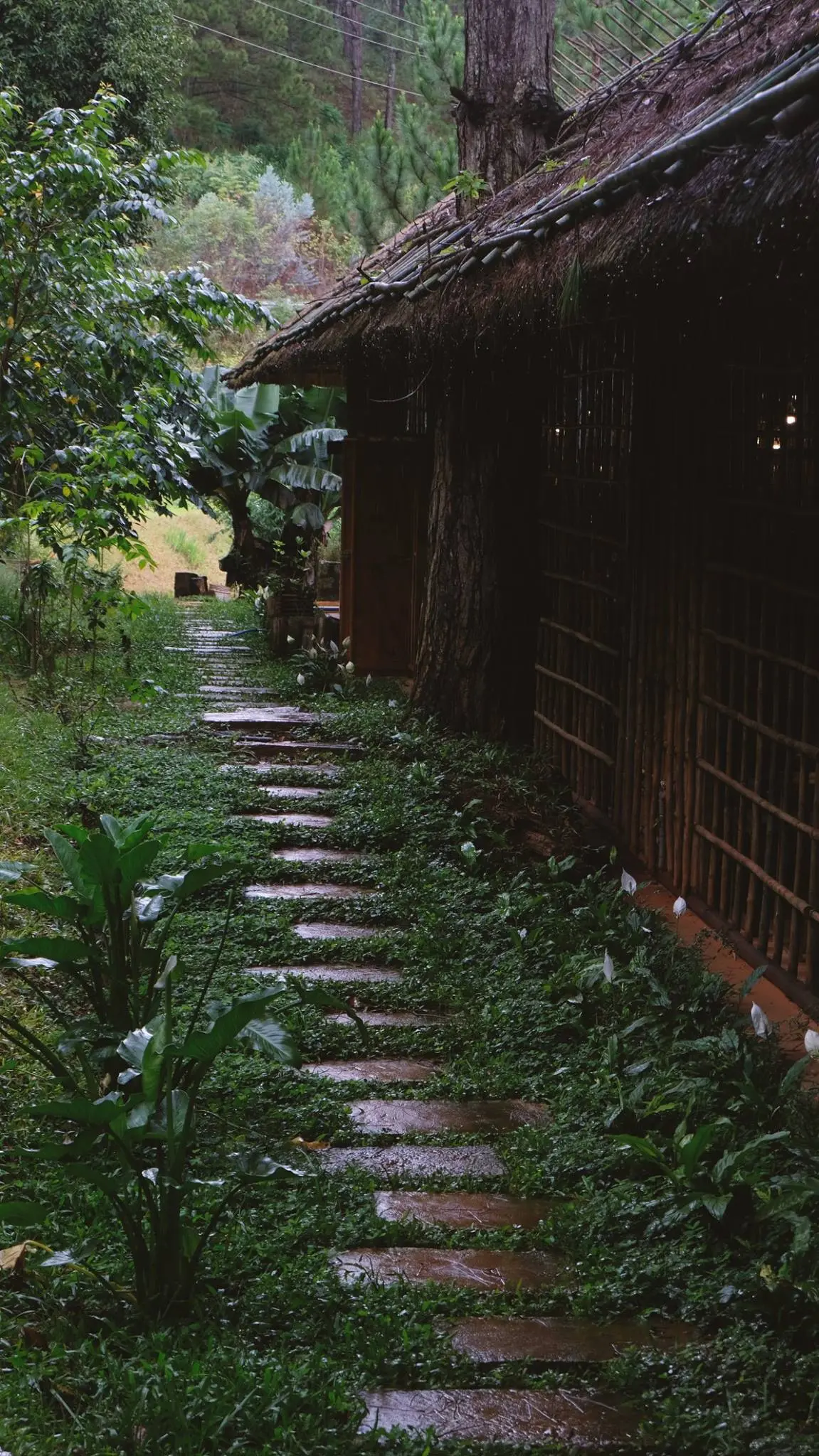 Lavenderdalat Coffee House - Qu&aacute;n c&agrave; ph&ecirc; c&oacute; view Hồ Tuyền L&acirc;m quyến rũ khiến ai cũng say l&ograve;ng tại Đ&agrave; Lạt 3