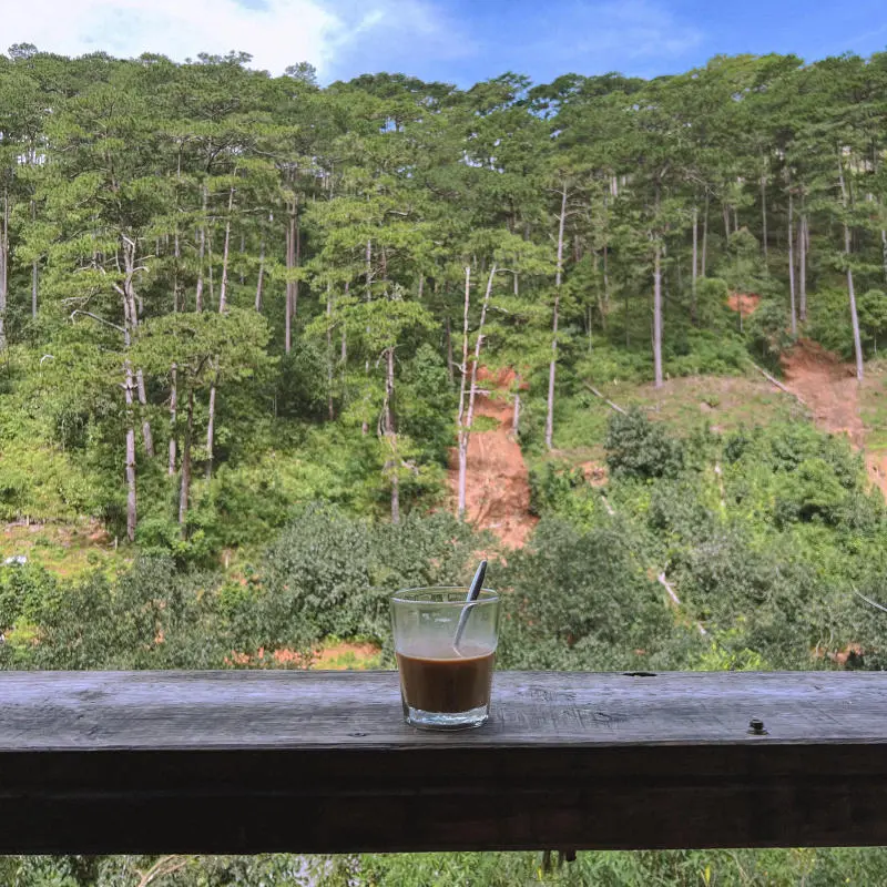 Lưng chừng cafe, g&oacute;c nhỏ b&igrave;nh y&ecirc;n giữa n&uacute;i rừng thơ mộng 4