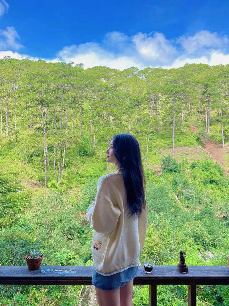 Lưng chừng cafe, g&oacute;c nhỏ b&igrave;nh y&ecirc;n giữa n&uacute;i rừng thơ mộng 7