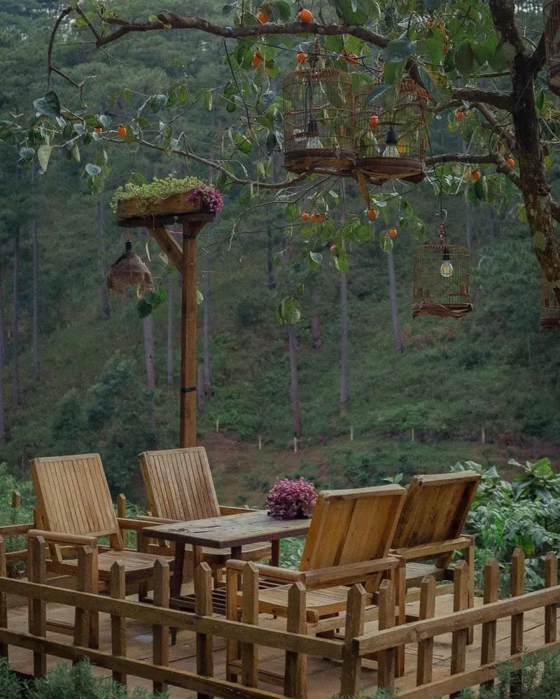 Lưng chừng cafe, g&oacute;c nhỏ b&igrave;nh y&ecirc;n giữa n&uacute;i rừng thơ mộng 12