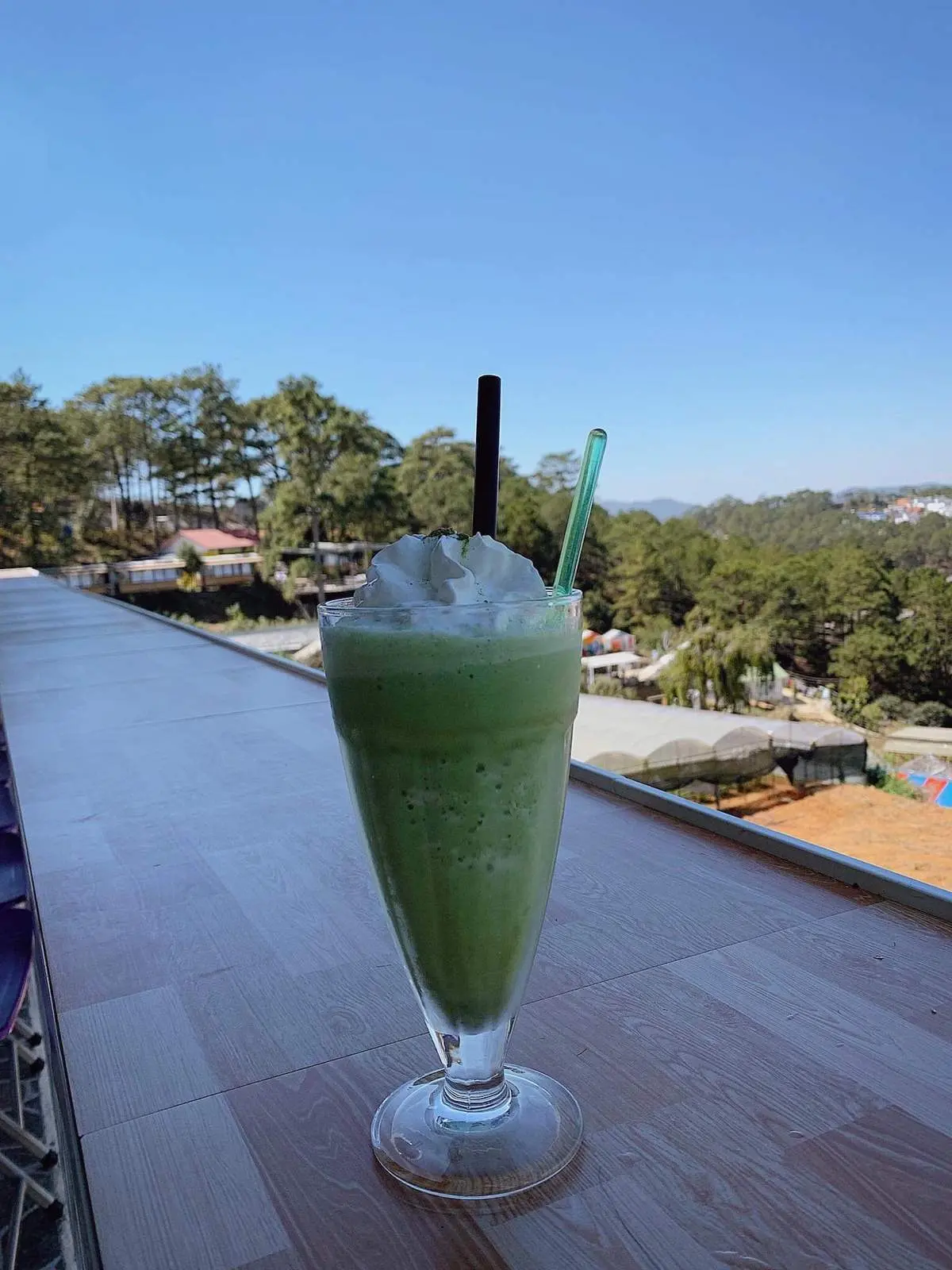 Ngắm hoa đ&egrave;n nở v&agrave;ng ươm l&atilde;ng mạn tại Coffee Thung Lũng Đ&egrave;n Đ&agrave; Lạt 10