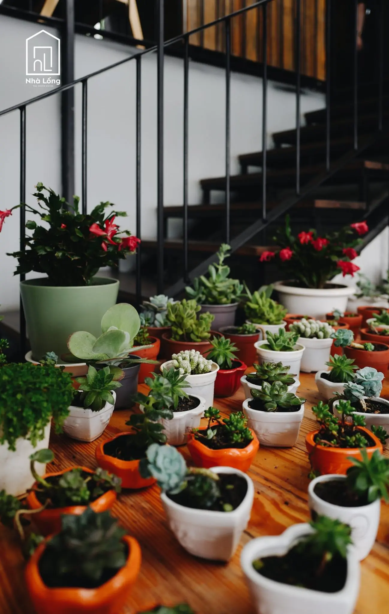 Nh&agrave; Lồng Coffee &ndash; Qu&aacute;n caf&eacute; lung linh với view thung lũng cực đẹp 34