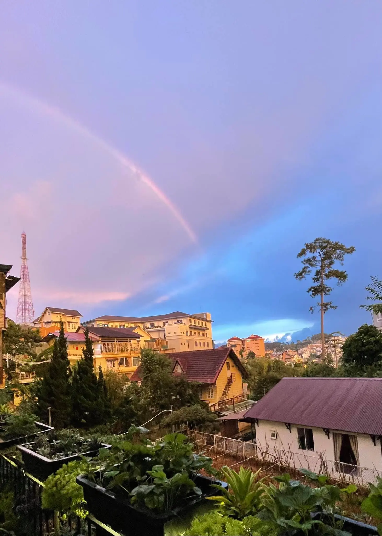 Nh&agrave; Lồng Coffee &ndash; Qu&aacute;n caf&eacute; lung linh với view thung lũng cực đẹp 31