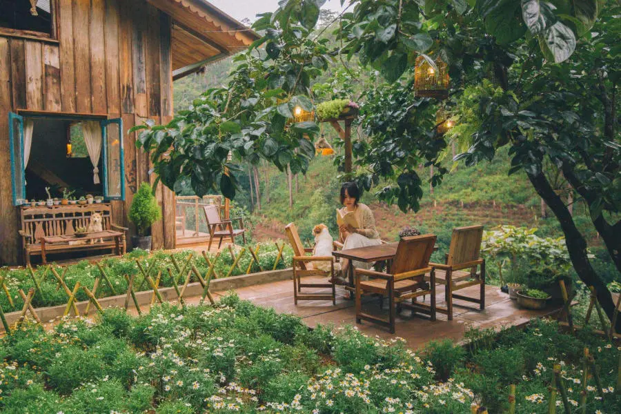 Những tiệm c&agrave; ph&ecirc; ở Đ&agrave; Lạt xinh xẻo bao người mong sớm được quay lại 2