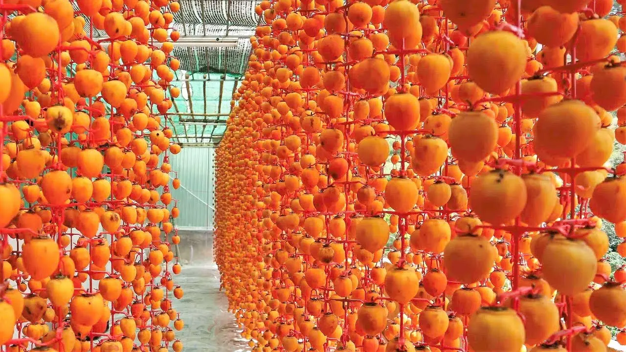 Tất tần tật c&aacute;c m&oacute;n ngon từ hồng Đ&agrave; Lạt 7