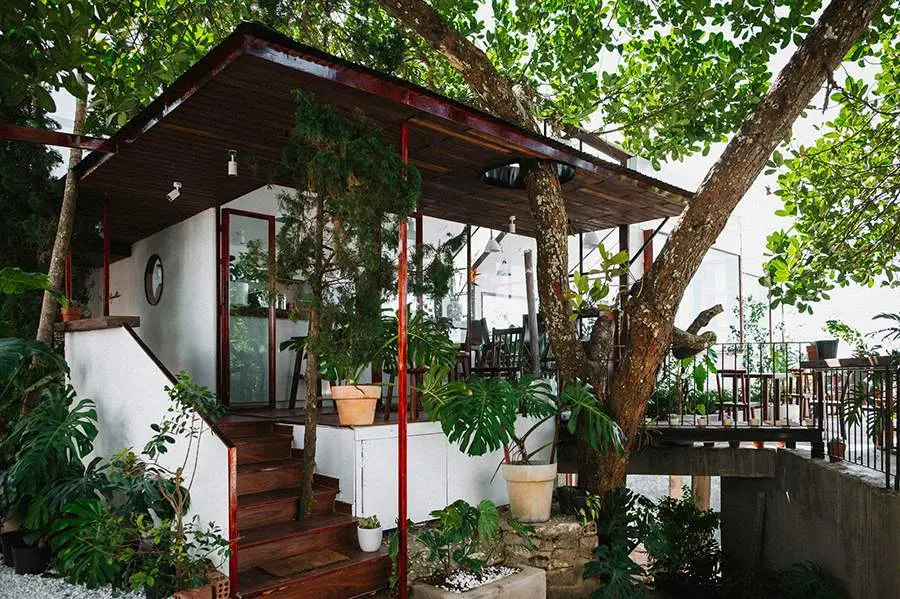 Tiệm cà phê Phía Tây Mặt Trời vừa xuất hiện đã kịp gây nhớ thương 2
