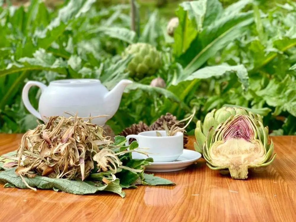 T&igrave;m hiểu từ A đến Z về Atiso Đ&agrave; Lạt 7