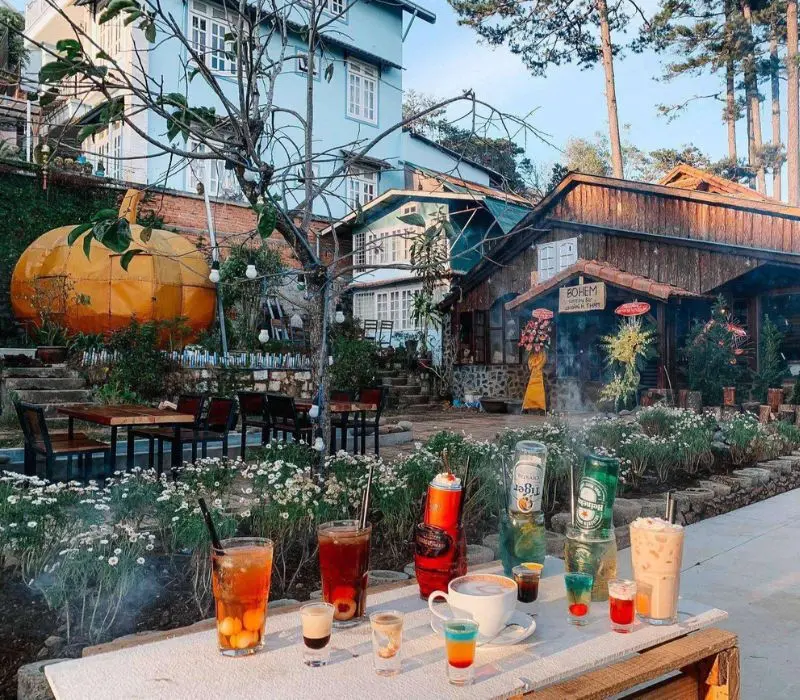 Tổ Chim Homestay Coffee Đ&agrave; Lạt c&oacute; g&igrave; đặc biệt? 3