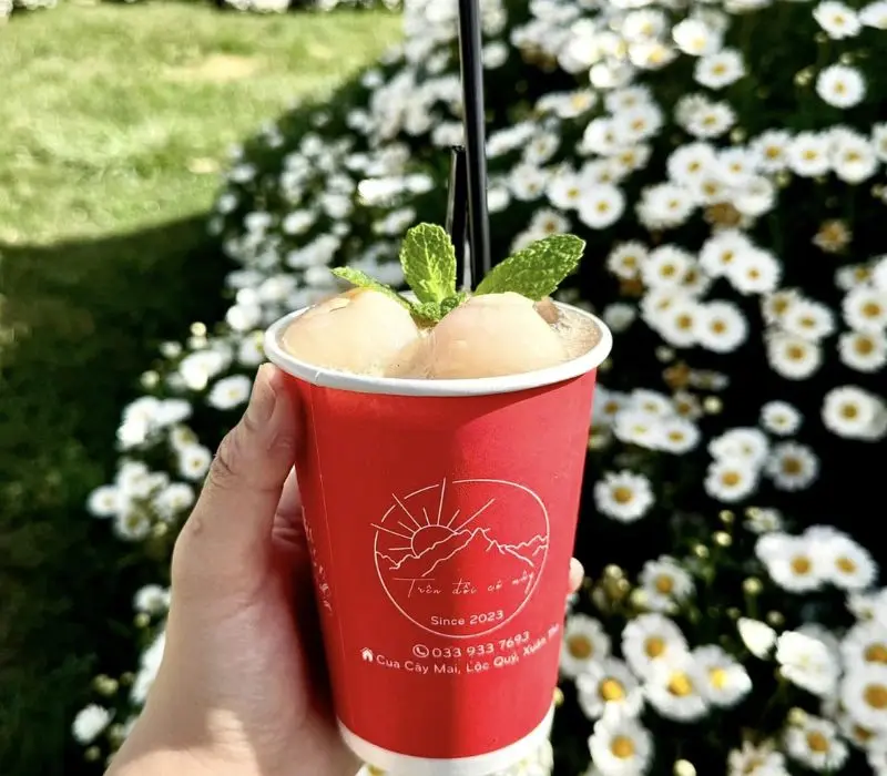 Tr&ecirc;n Đồi C&oacute; M&acirc;y Coffee Đ&agrave; Lạt, chốn chữa l&agrave;nh giữa rừng th&ocirc;ng 5