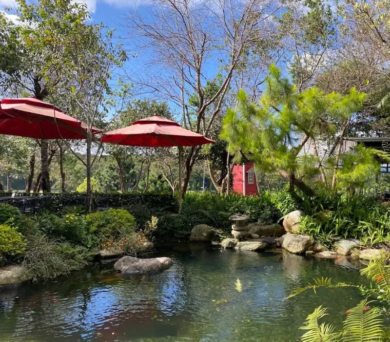 Xu&acirc;n Hương Garden Coffee Đ&agrave; Lạt: Tọa độ sống ảo với view bờ hồ cực đỉnh 7