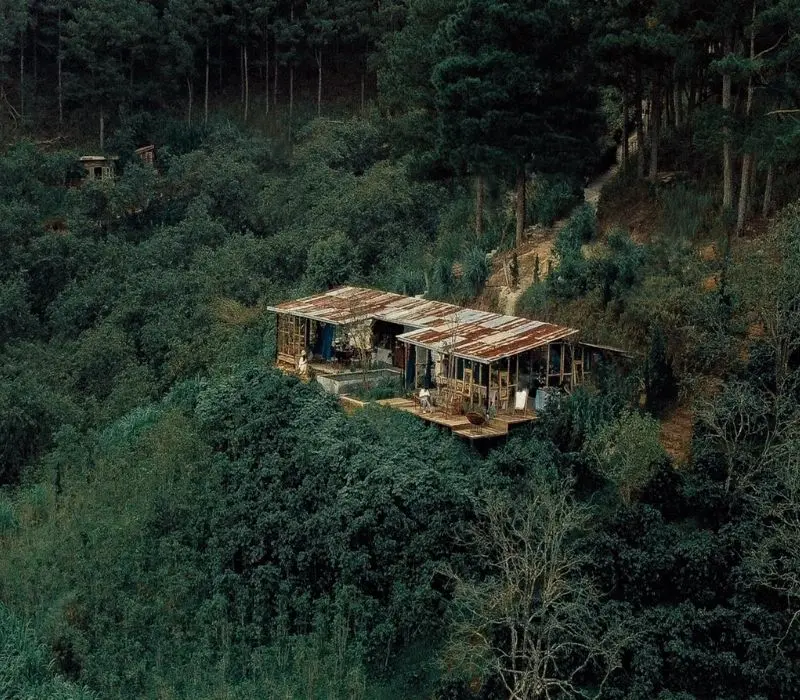 In The Forest Đà Lạt: Quán cafe giữa rừng thông độc đáo